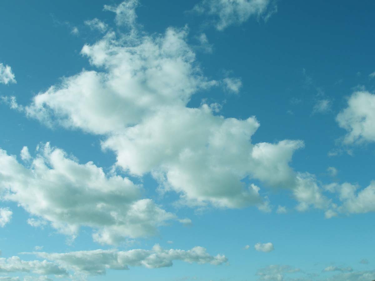 Banner Image 1
